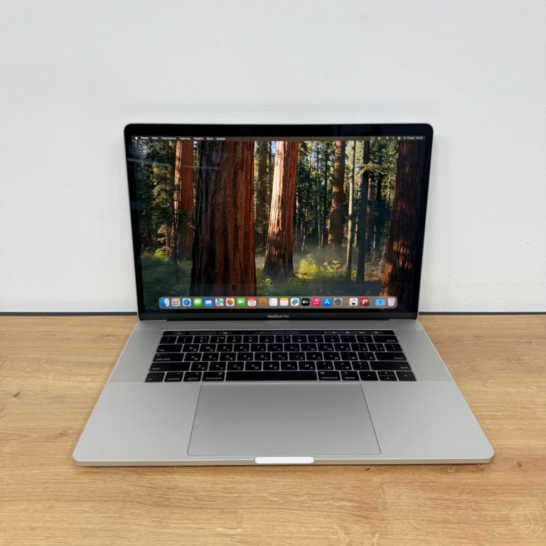 Apple MacBook Pro 15" 2019 — Core i7, 16GB, SSD 256GB, Radeon Pro 555X 4GB, Silver